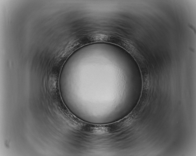 X0000102370363200808081158