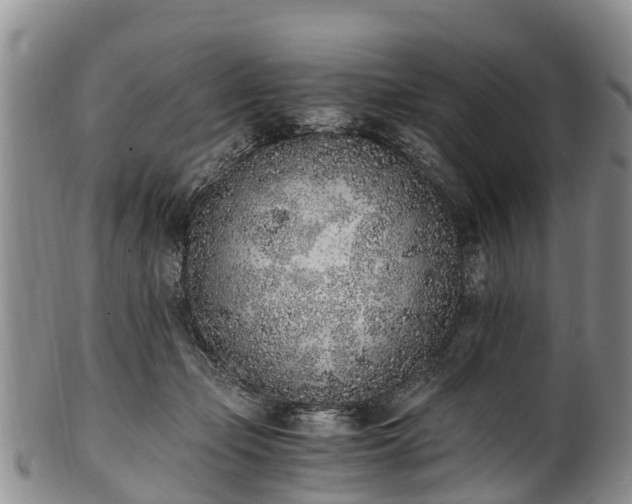 X0000102370365200808081158