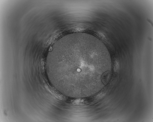 X0000102370366200808081158