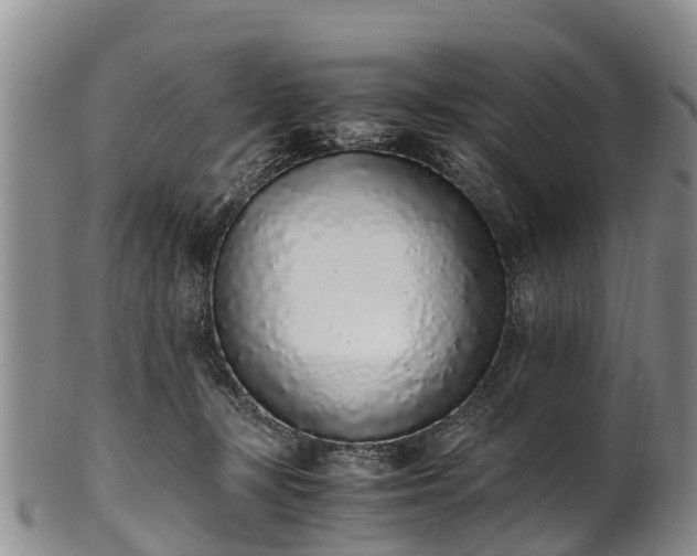 X0000102370367200808081158