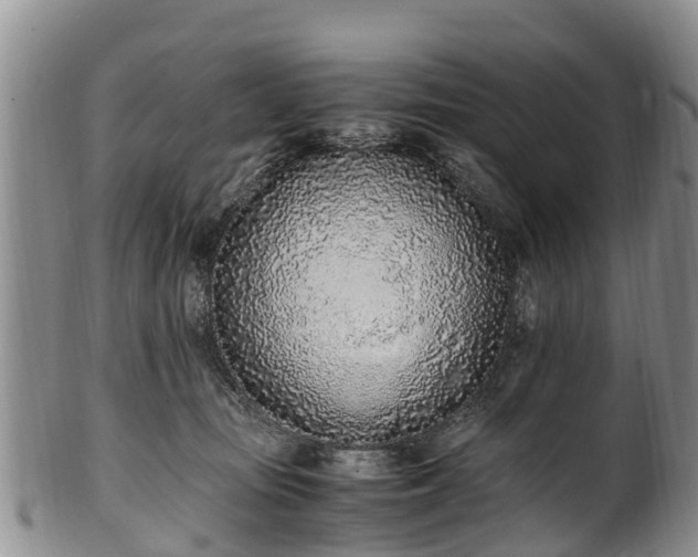 X0000102370371200808081158