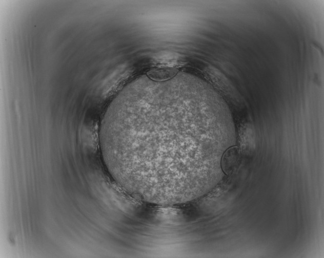 X0000102370376200808081158