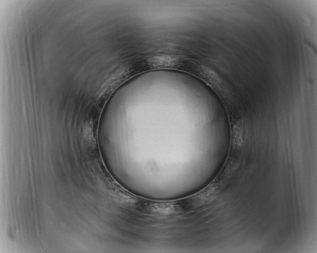 X0000102370377200808081158