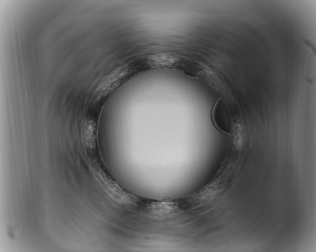 X0000102370378200808081158