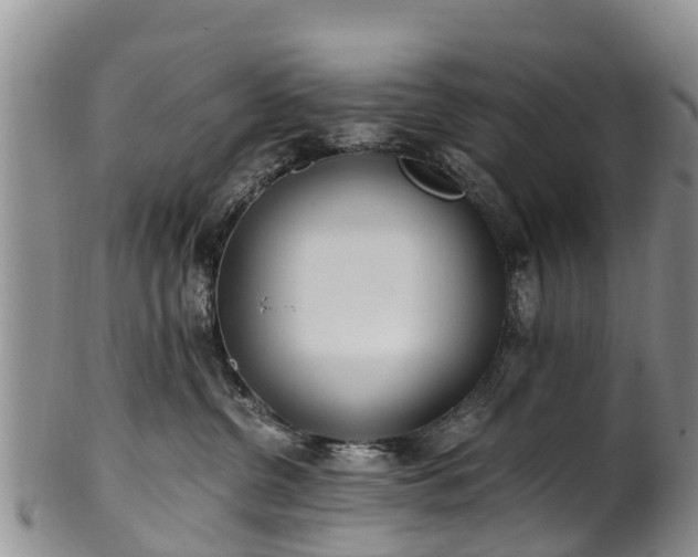 X0000102370380200808081158