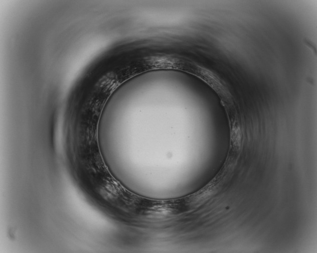 X0000102370381200808081158