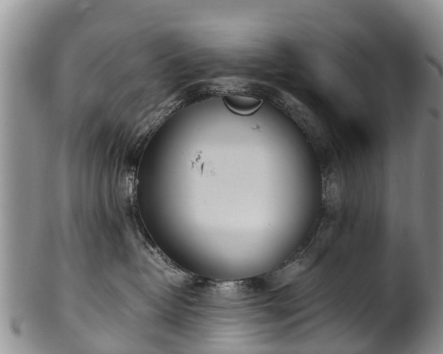 X0000102370382200808081158