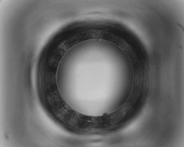 X0000102370383200808081158