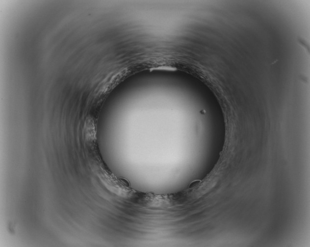 X0000102370384200808081158