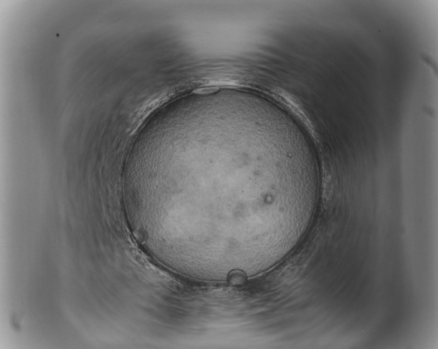 X0000102370385200808081157