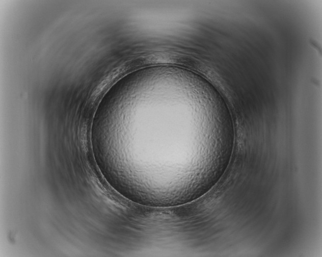 X0000102370386200808081157