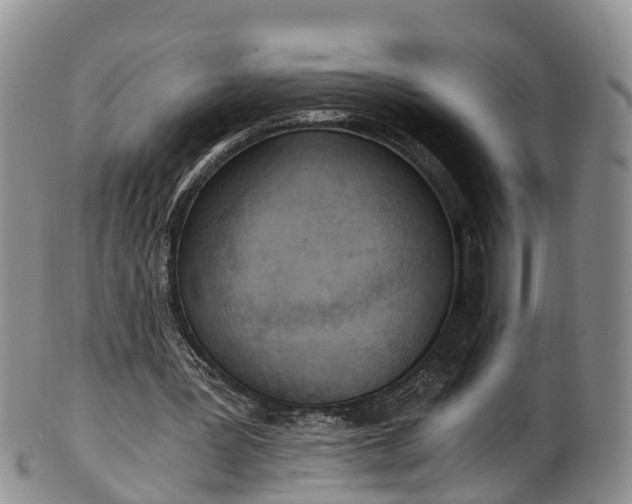 X0000102370387200808081157