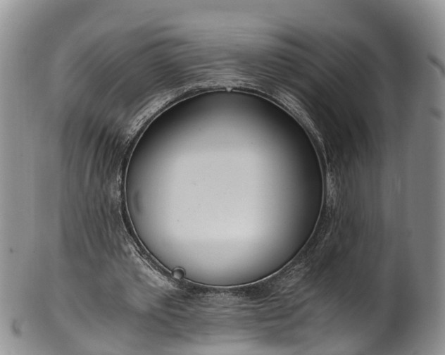 X0000102370389200808081157