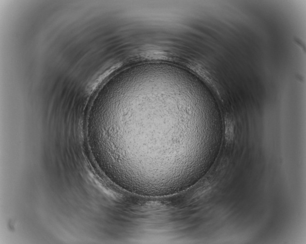 X0000102370390200808081157