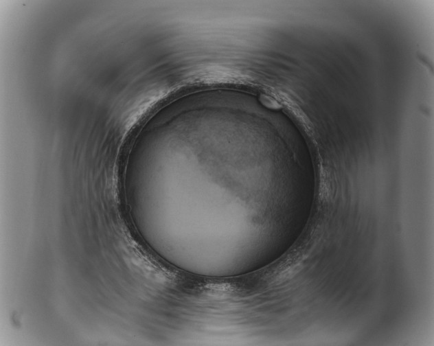 X0000102370391200808081157