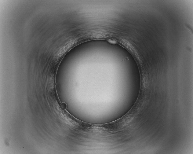 X0000102370393200808081157