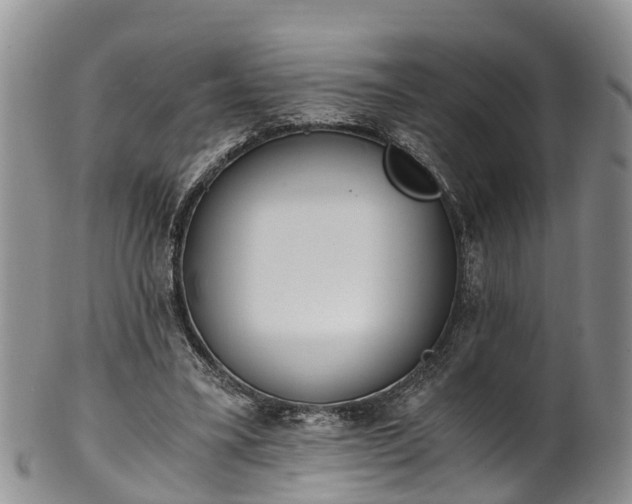 X0000102370395200808081157