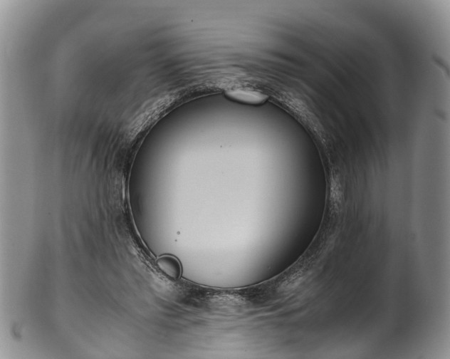 X0000102370397200808081157