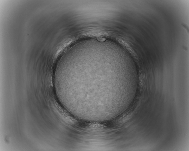 X0000102370399200808081157