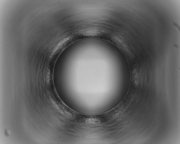 X0000102370400200808081157