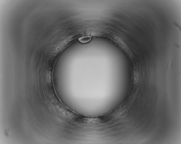 X0000102370401200808081157