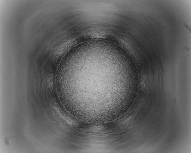 X0000102370402200808081157