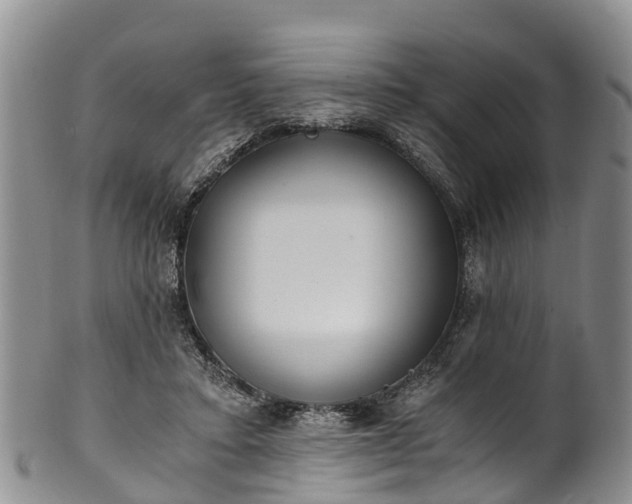 X0000102370403200808081157