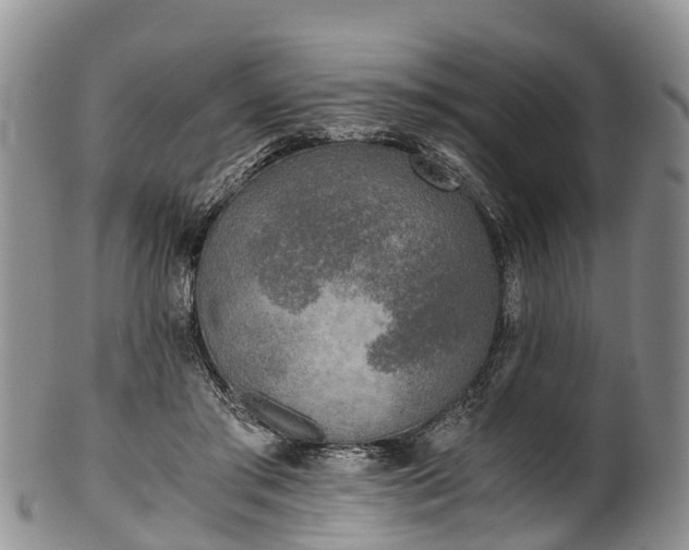 X0000102370405200808081157