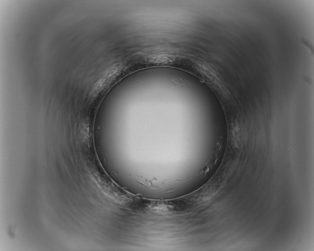 X0000102370407200808081157