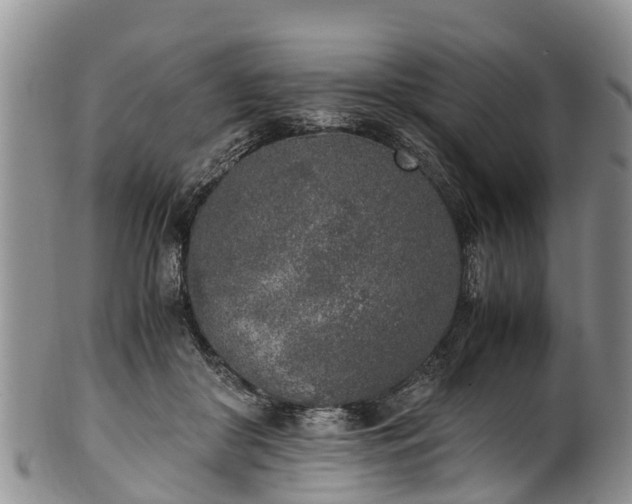 X0000102370410200808081157