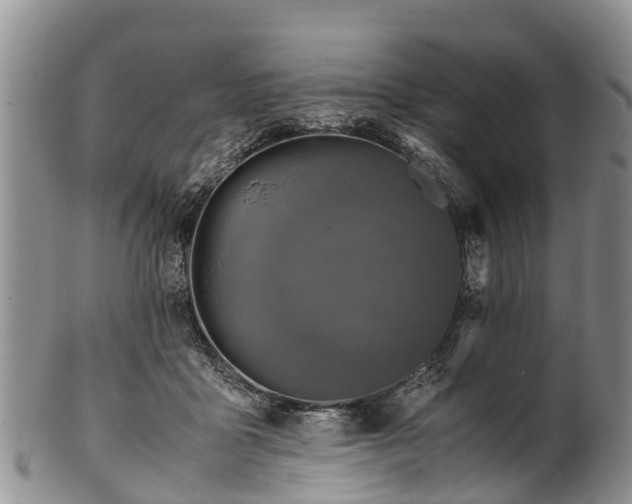 X0000102370411200808081157