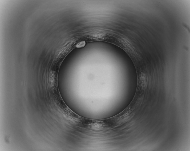 X0000102370412200808081157