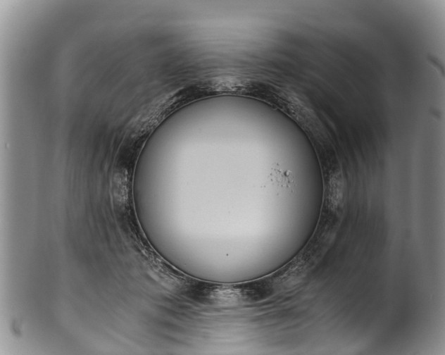 X0000102370413200808081157