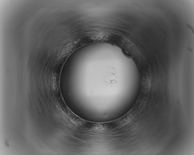 X0000102370416200808081157