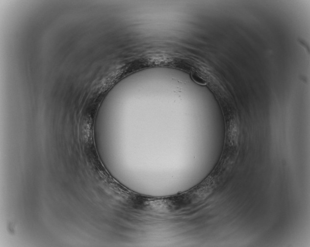 X0000102370417200808081157