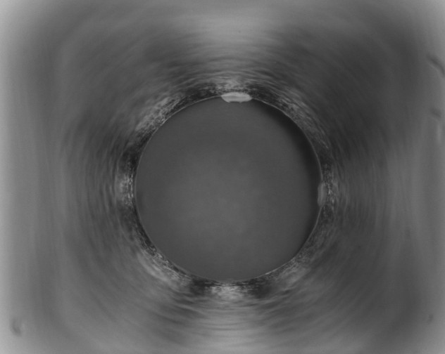 X0000102370419200808081157