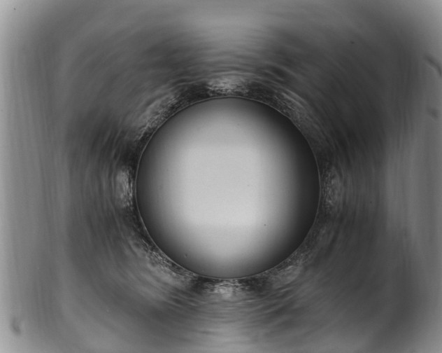 X0000102370420200808081157