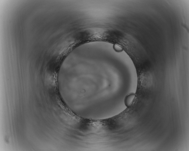 X0000102370423200808081157