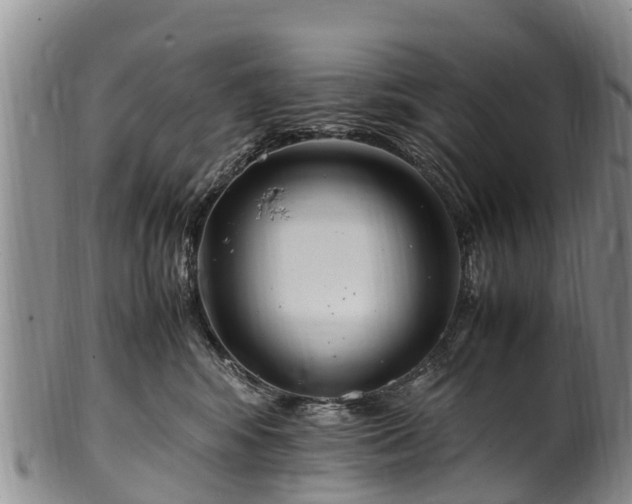 X0000102370424200808081157