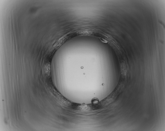 X0000102370425200808081157