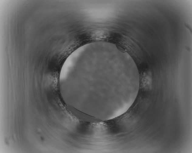 X0000102370427200808081157