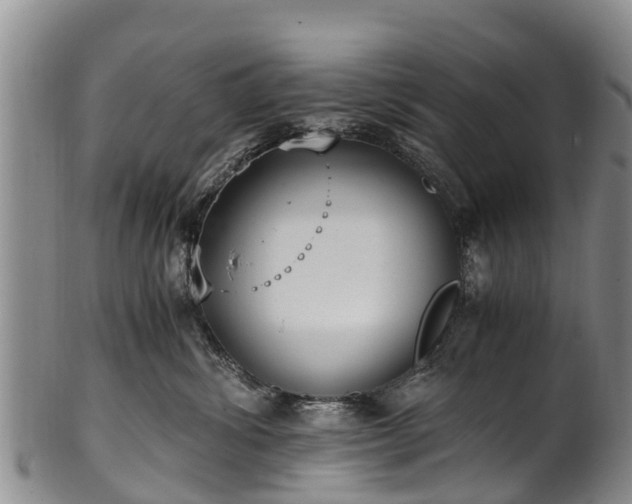 X0000102370428200808081157