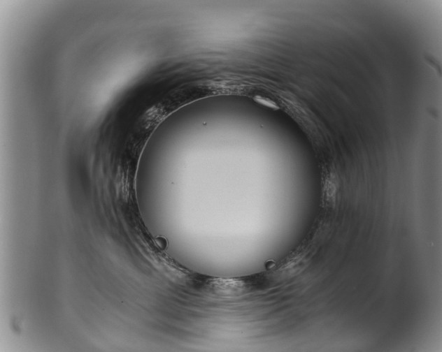 X0000102370429200808081157