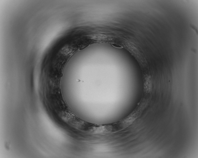 X0000102370430200808081157