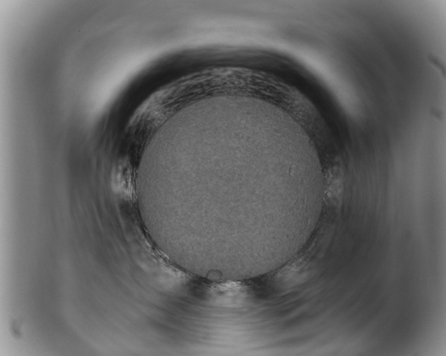 X0000102370431200808081157