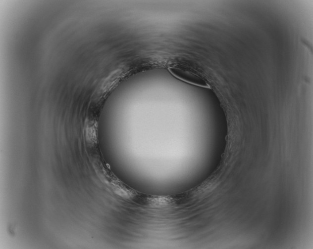 X0000102370432200808081157