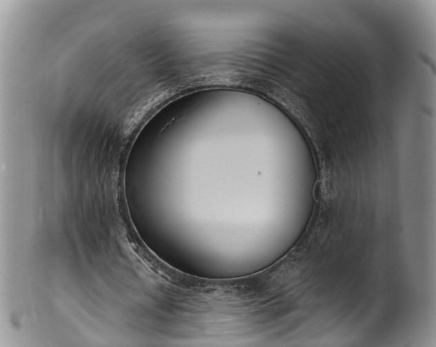 X0000102370434200808081156