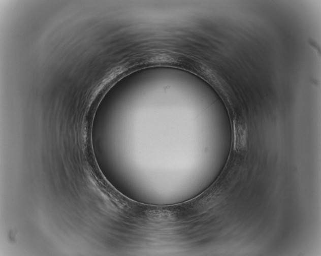 X0000102370435200808081156