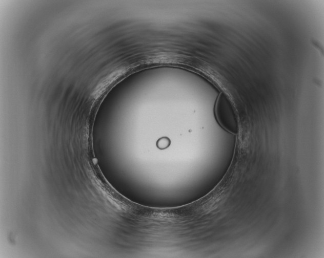 X0000102370437200808081156