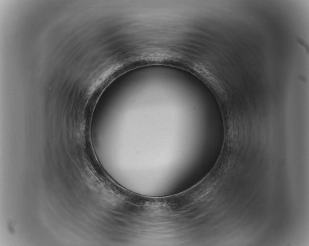 X0000102370440200808081156